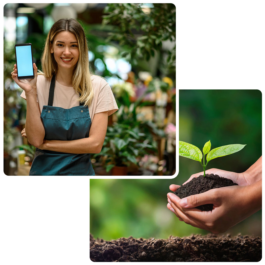 Landscaping in Auburn, WA 98002