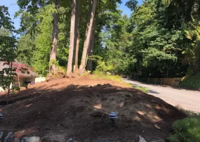 Affordable Landscape Services