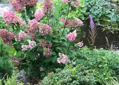 Dependable Landscape Services