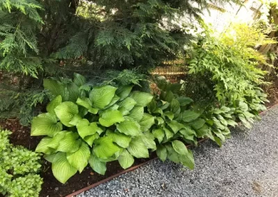 Landscape Services (1)