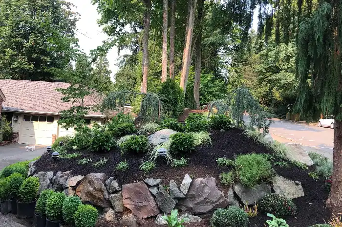 Reliable Landscape Services